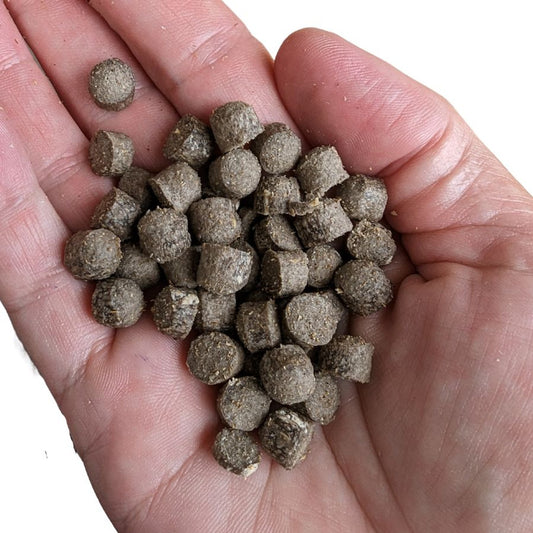 LITTLE INSECT PROTEIN BITES - DOG ENRICHMENT TREATS - DOG TRAINING TREATS (100g)